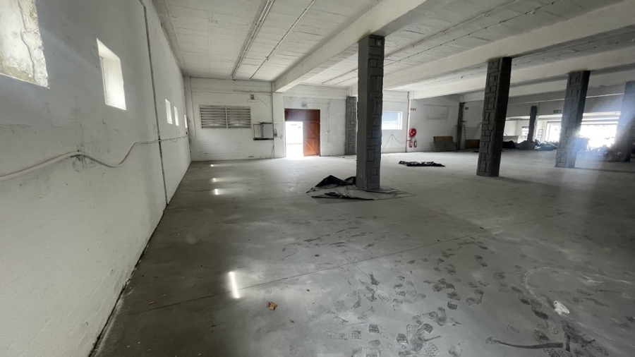 To Let commercial Property for Rent in Diep River Western Cape